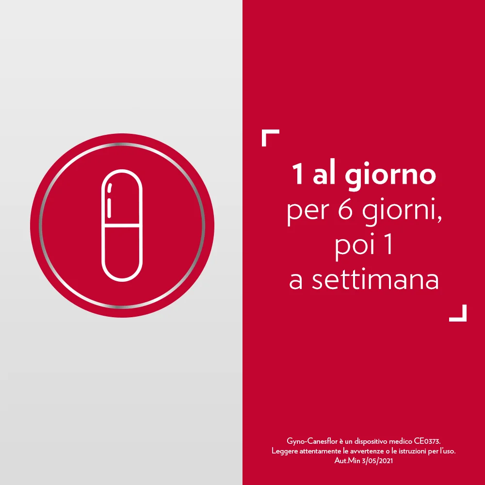 Gyno-Canesflor 10 Capsule Vaginali Ovuli con Lattobacilli