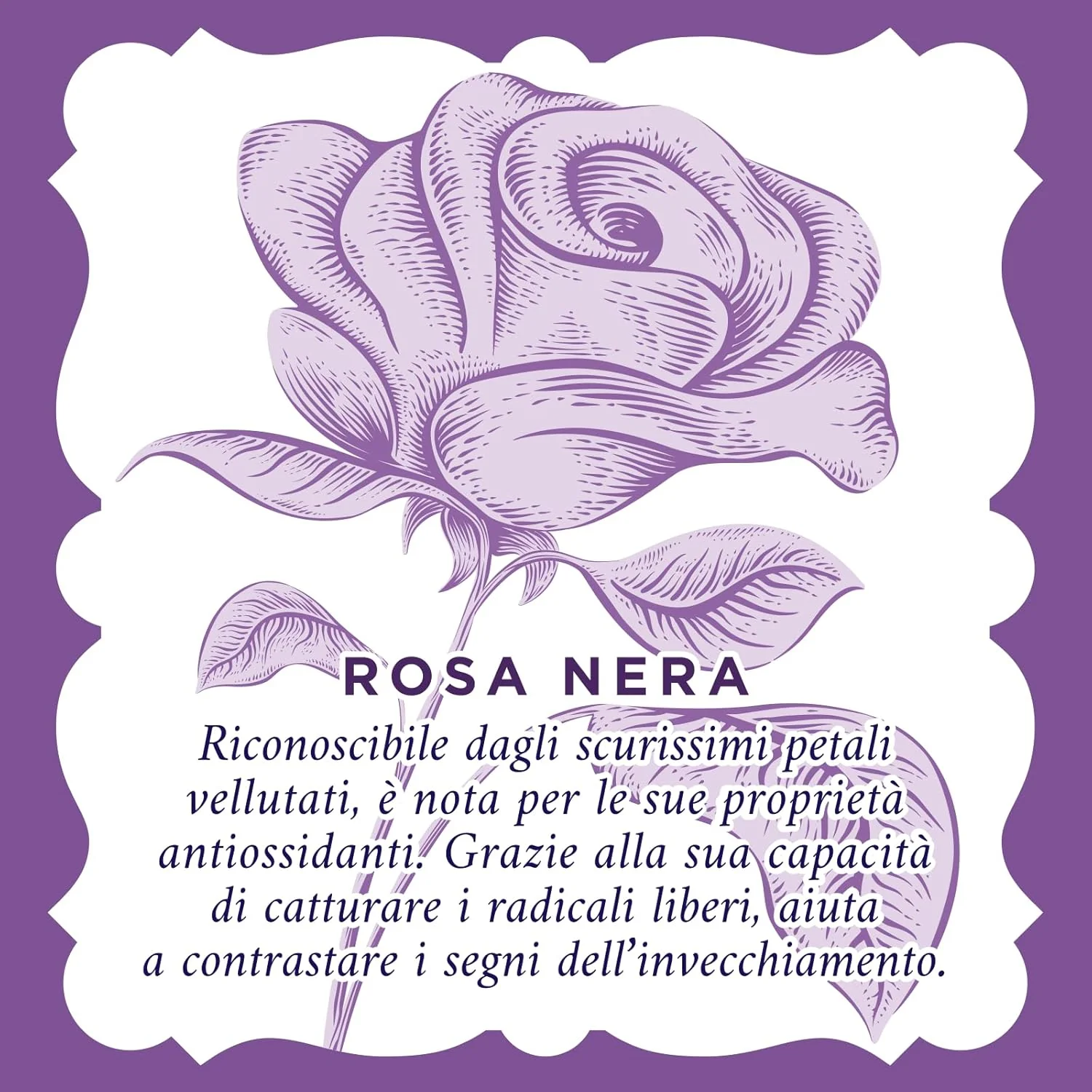 Acqua Alle Rose Siero Rimpolpante 30 Ml
