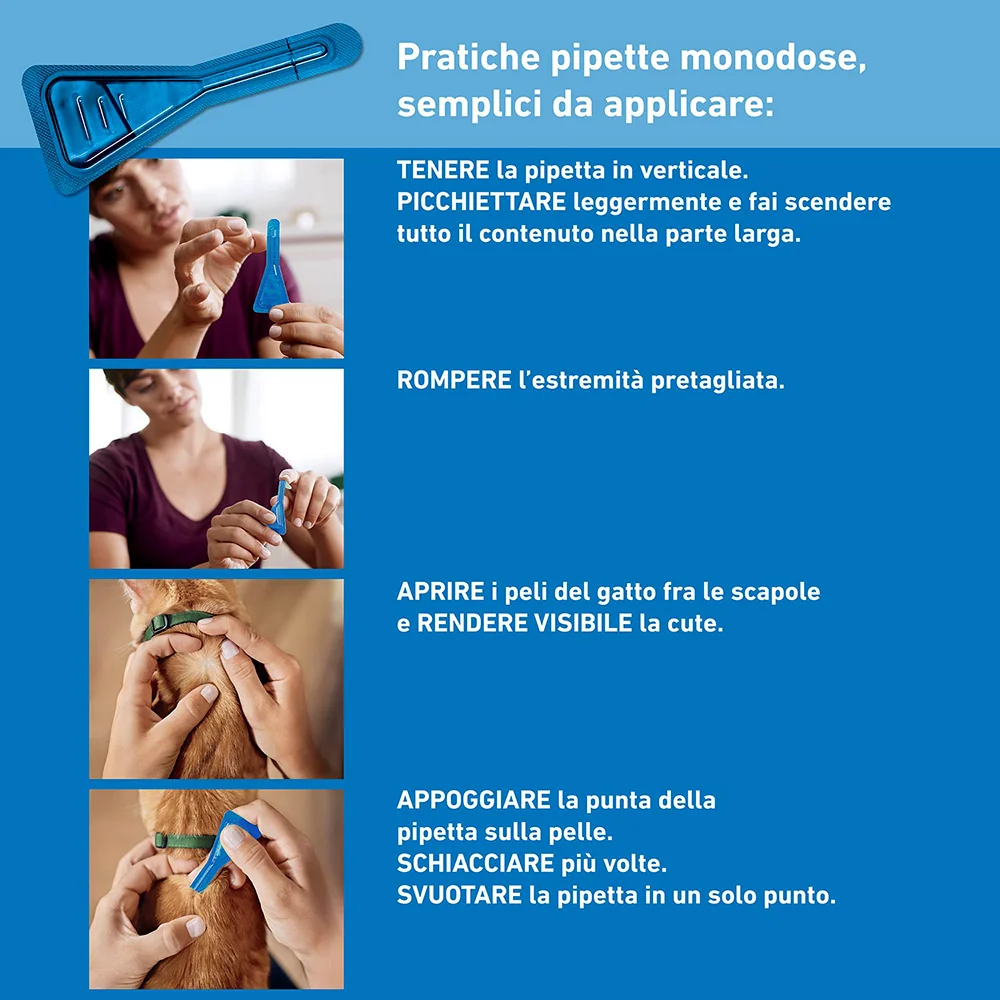 Frontline Spot On Gatti X4 Antiparassitario Contro Pulci, Zecche E Pidocchi Prevenzione delle infezioni da zecche