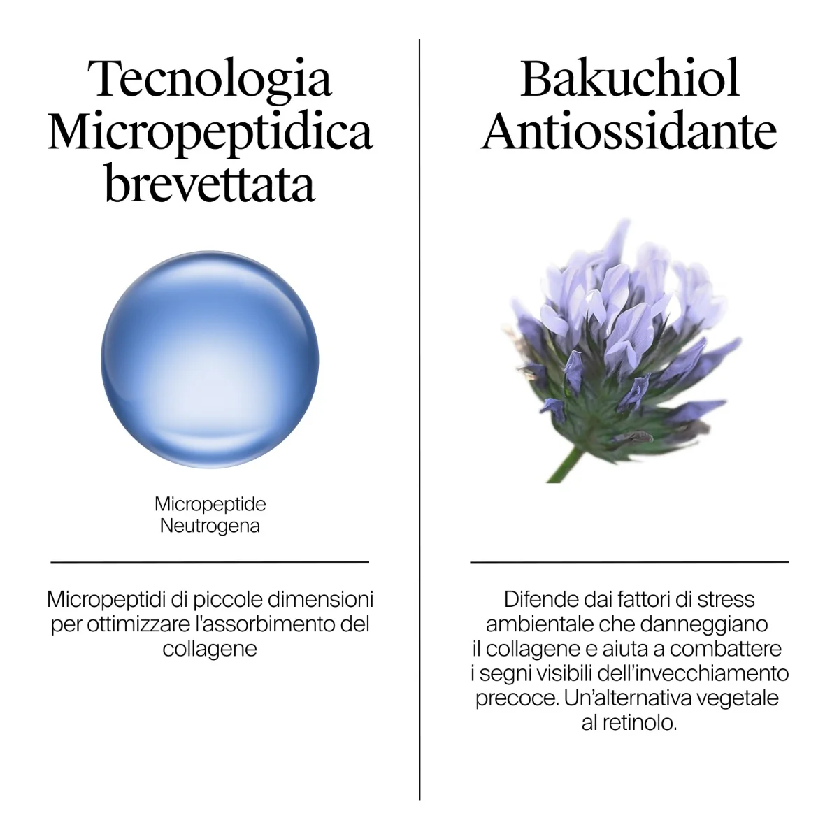 Neutrogena Collagene Crema Notte