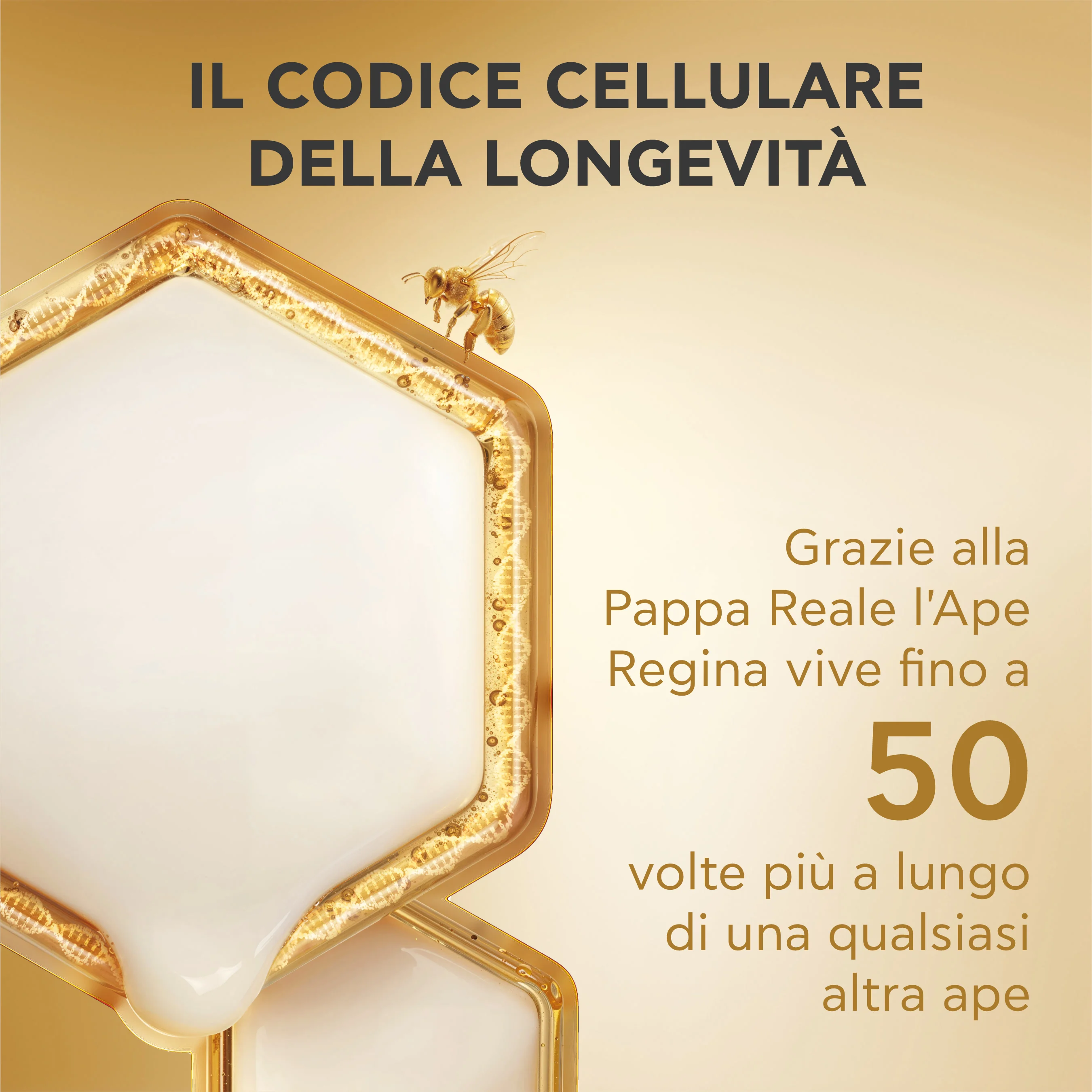 Apivita Queen Bee Longevity Day Crema Rich 50 ml Crema Giorno