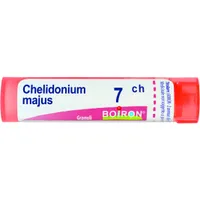 Chelidonium Majus 7 Ch 80 Gr 4 G