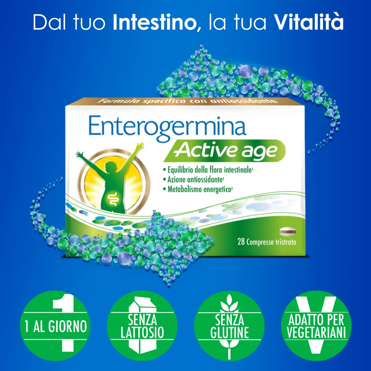 Enterogermina Active Age 28 Compresse Per l'equilibrio della flora intestinale