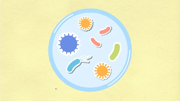 Virus e Batteri: qual è la differenza?