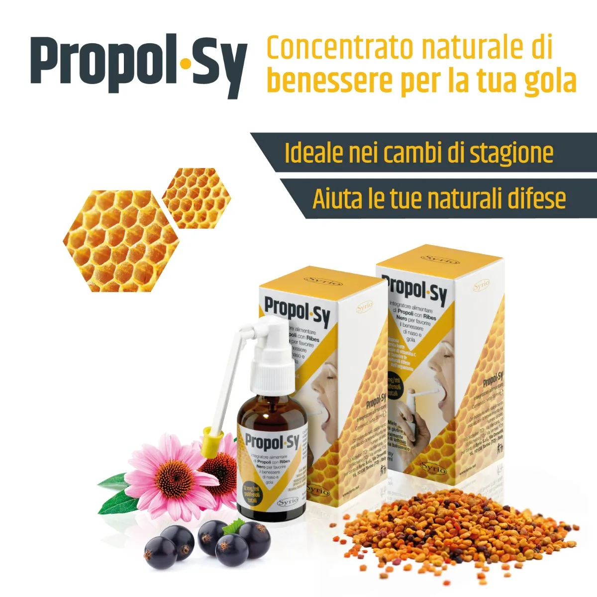 Propol-Sy 30 ml Favorisce le Naturali Difese dell'Organismo