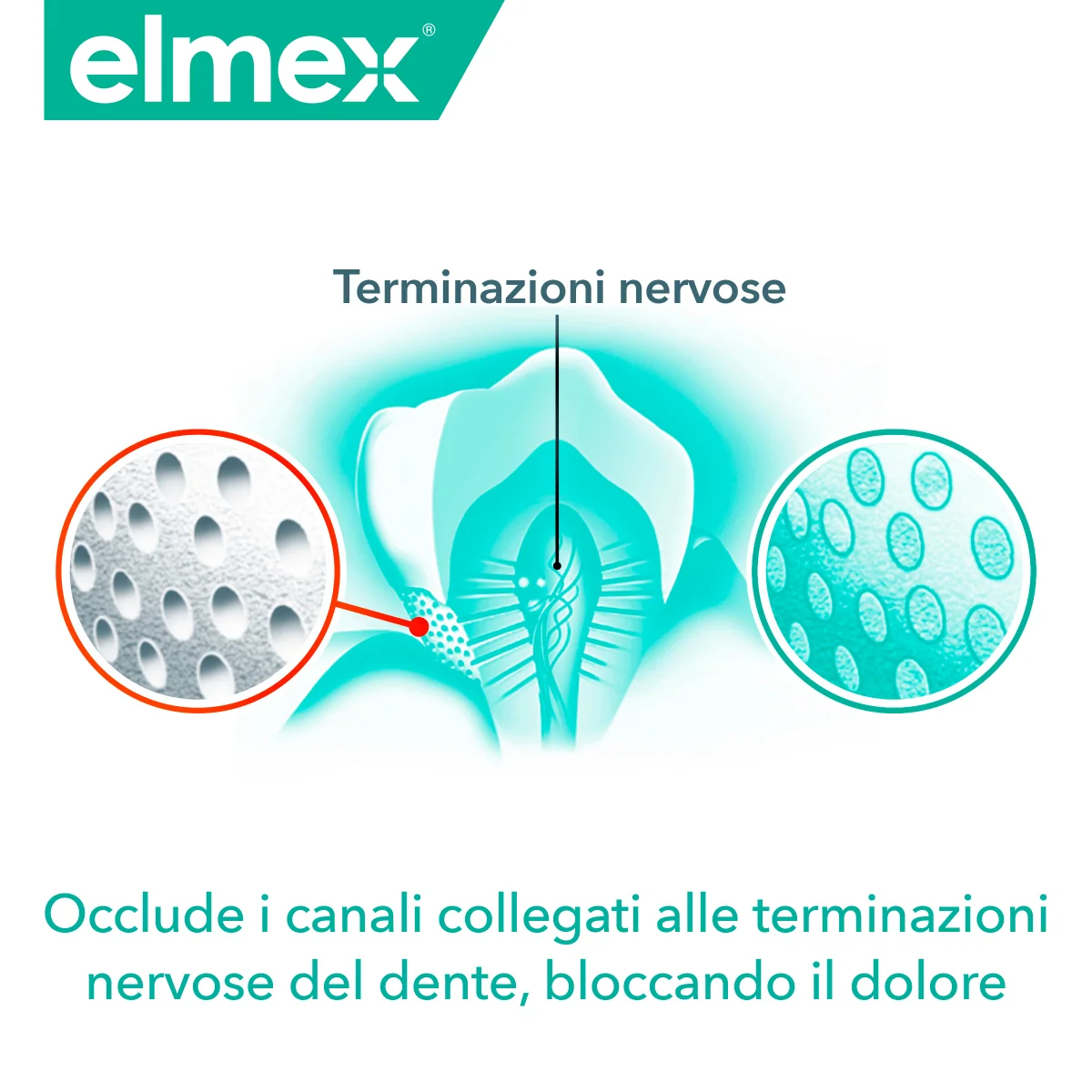 Elmex Sensitive Professional Ripara&Previene 75 ml Pro-Argin + Zinco