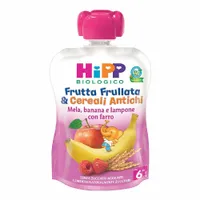 Hipp Bio Frutta Frull&Bisc Fra