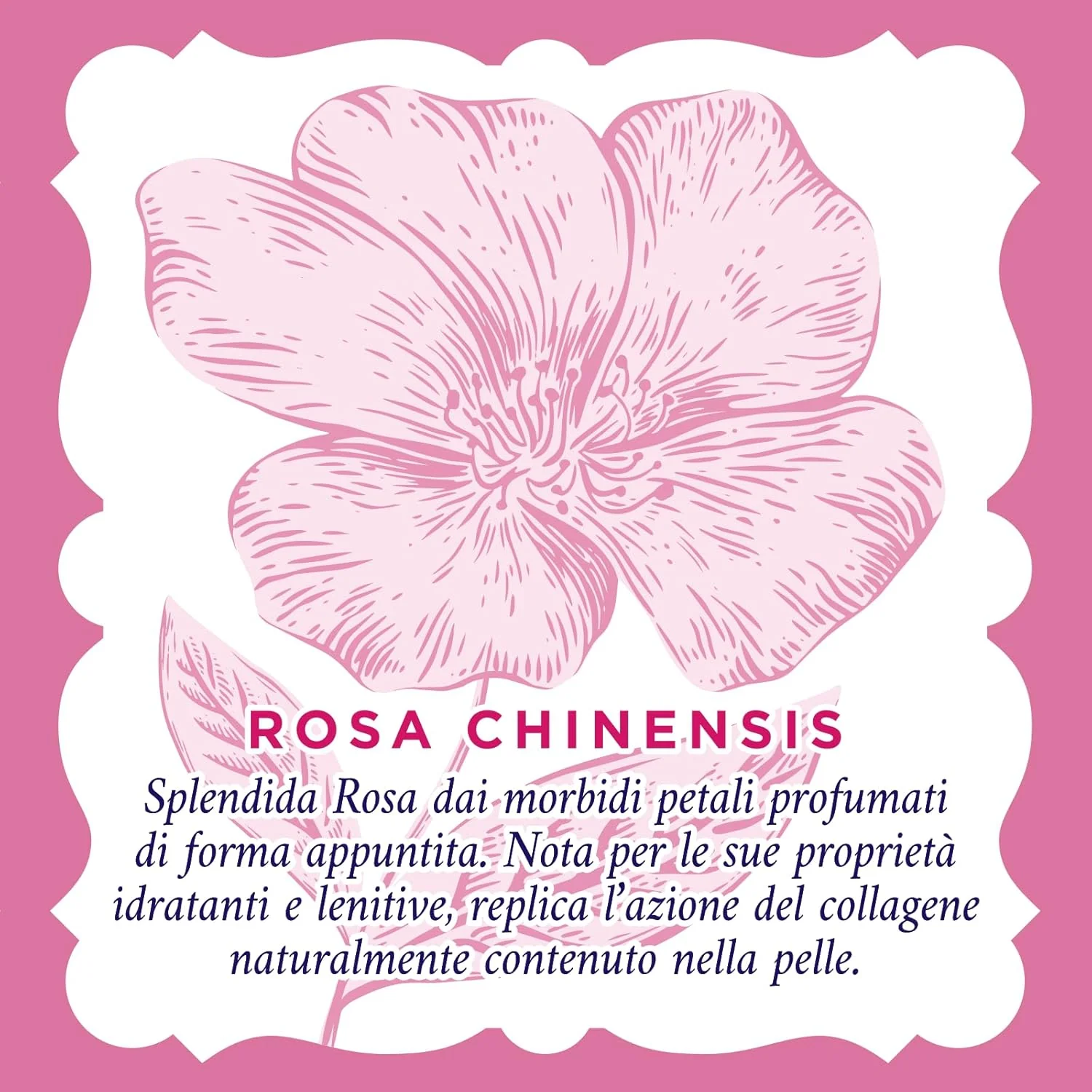 Acqua Alle Rose Crema Viso Antirughe Lenitiva 50 Ml