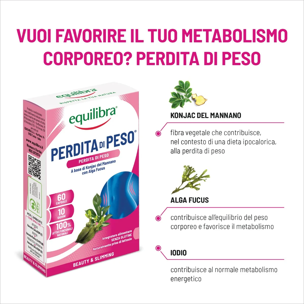Equilibra Perdita di peso 60 capsule Integratore per il controllo del peso