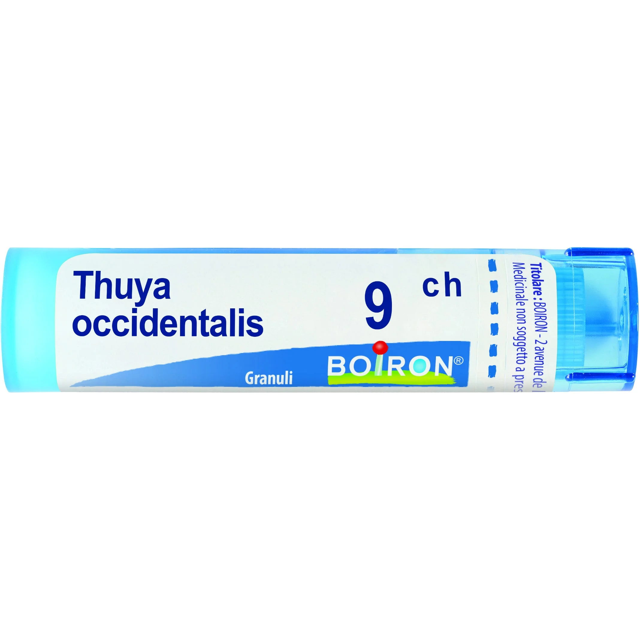 Thuya Occidentalis 9 Ch Granuli