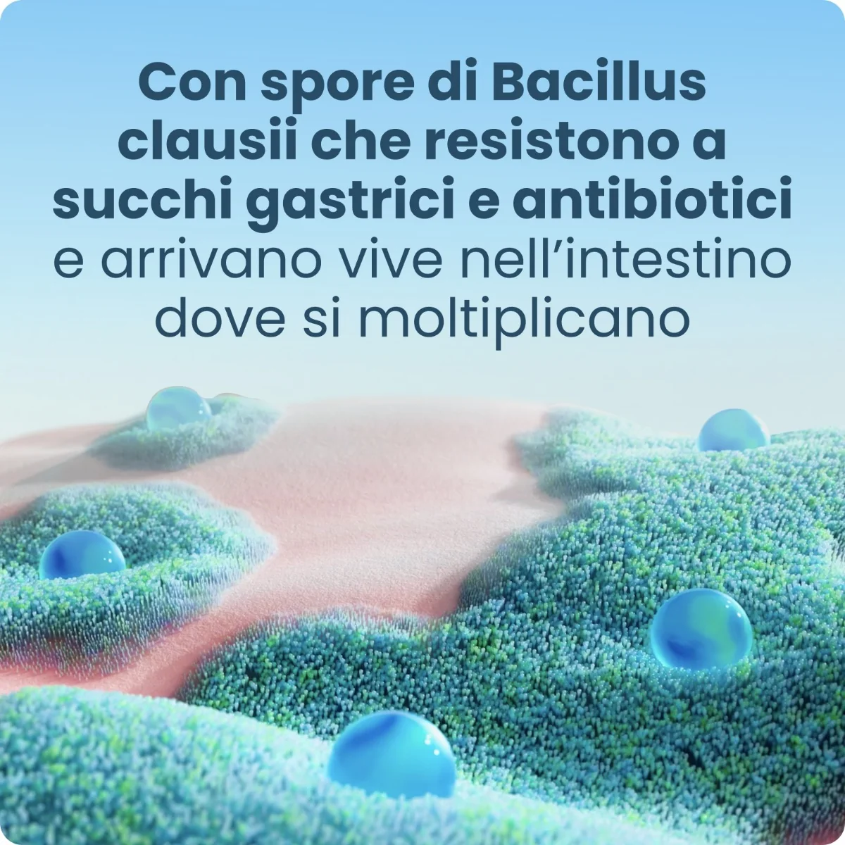 Enterogermina 2 Miliardi 10 Flaconcini Probiotici Contro la Diarrea