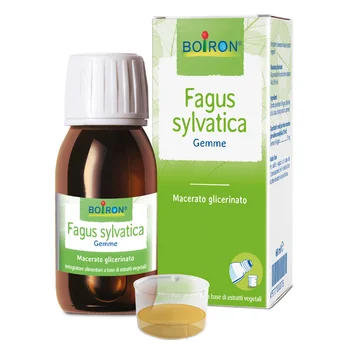 Fagus Sylvatica Boi Macerato Glicerinato 60 ml Int