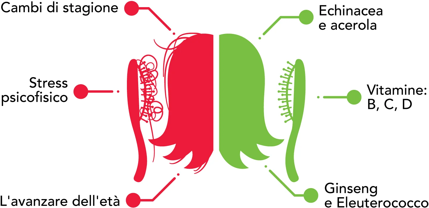 rimedi per caduta capelli rimedi per caduta capelli