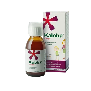 Kaloba Sciroppo Fl100  ml 20  mg/7,5  ml 