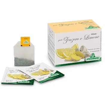Infuso Tisana Zenz+Lim 20Filt