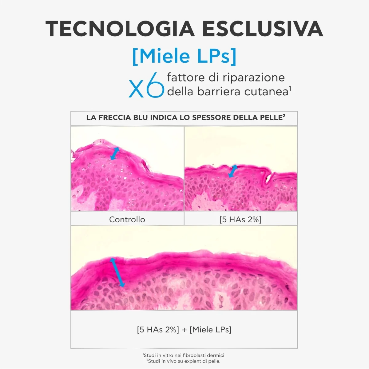 Apivita Bee Tech Concentrates HA5 Honey Repair 30 Ml Siero Viso Idratante e Anti-Rughe