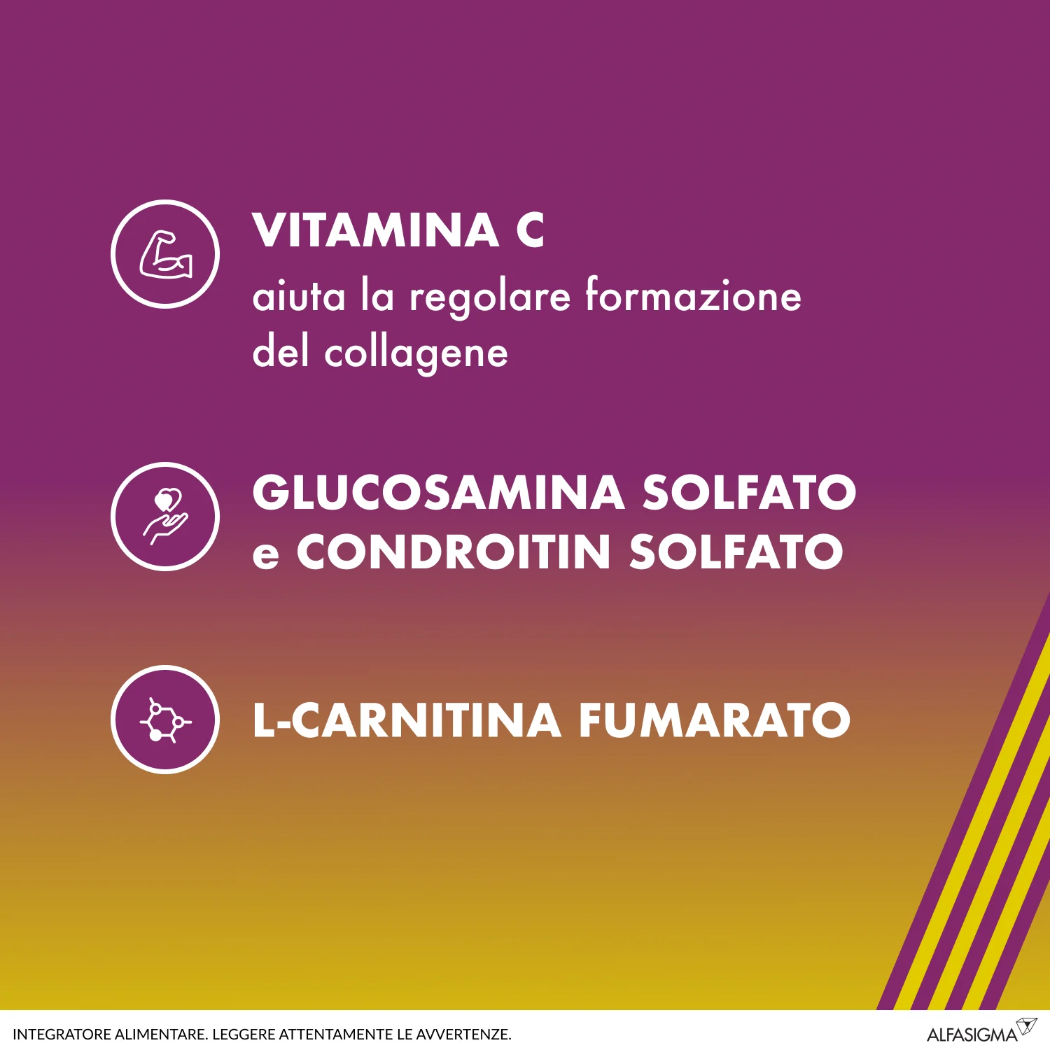 Amedial Plus 20 Buste Integratore Ossa Cartilagini Collagene