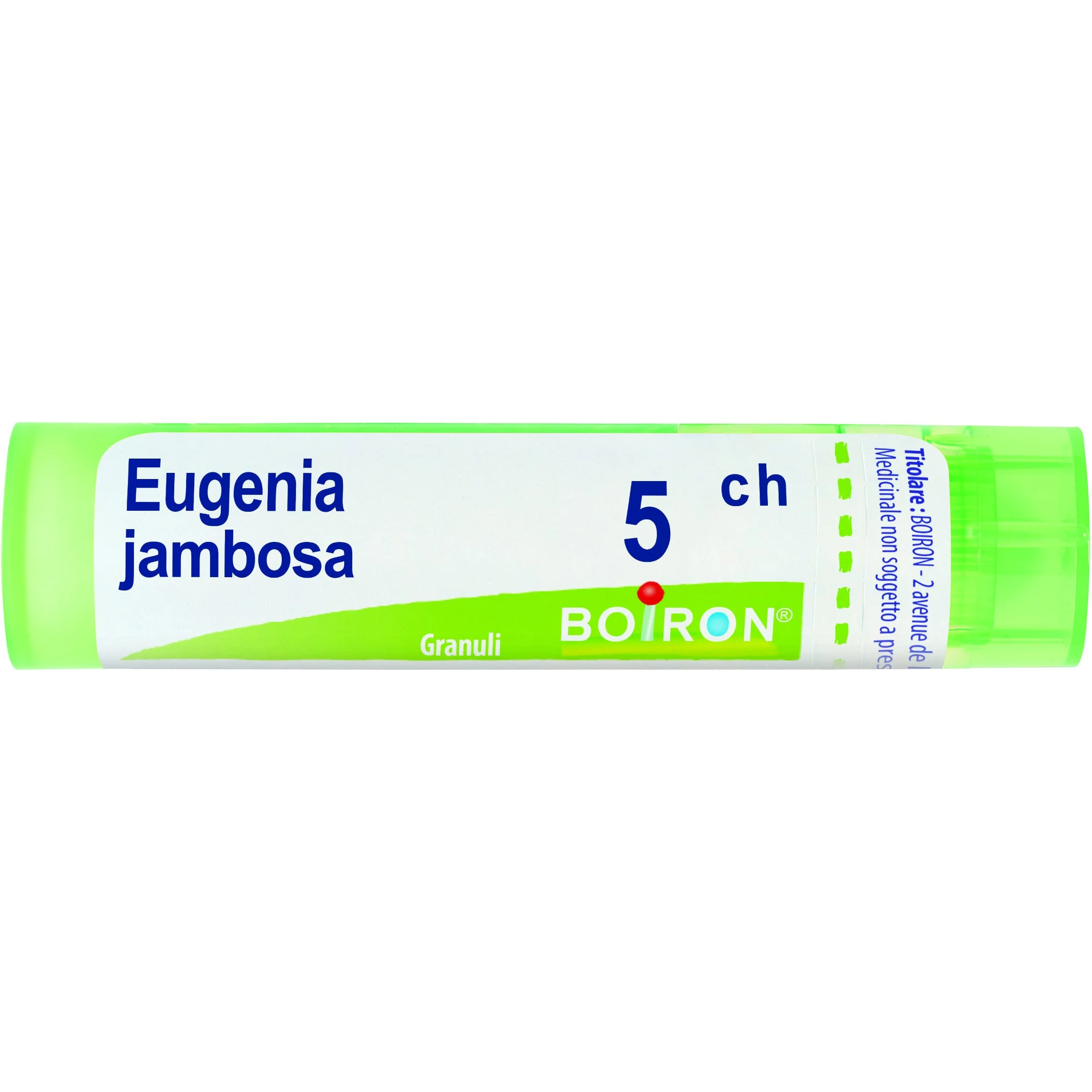 Eugenia Jambosa 5Ch Granuli 