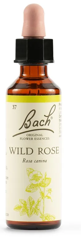 Schwabe Fiori di Bach 36 Wild Rose Gocce 20 ml