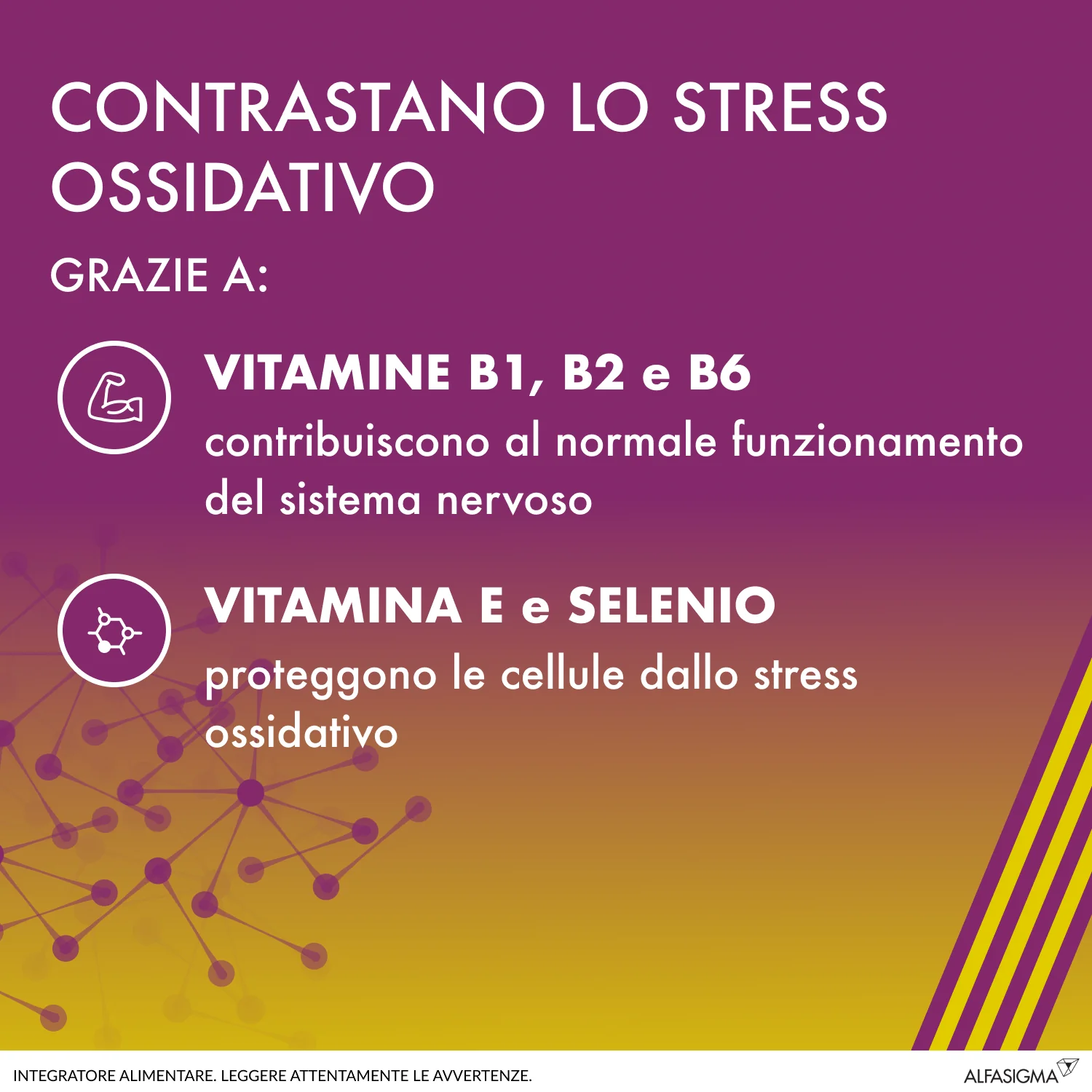Alanerv On Neurotrofico 20 Compresse Integratore Antiossidante