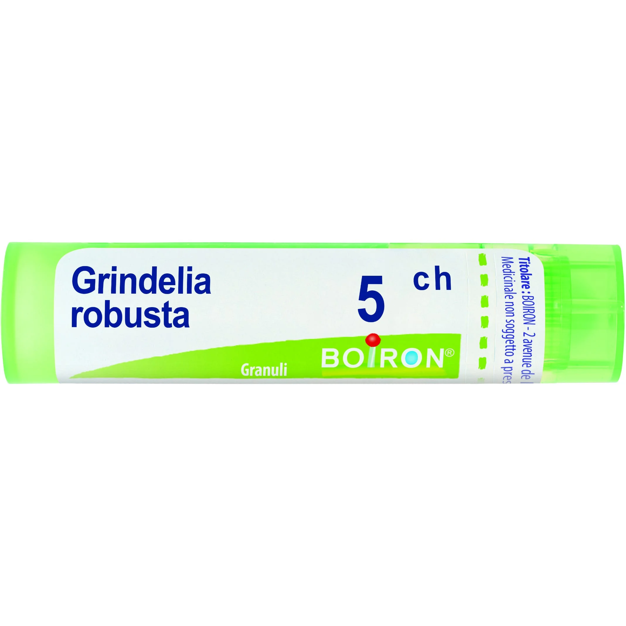 Grindelia 5Ch Granuli 