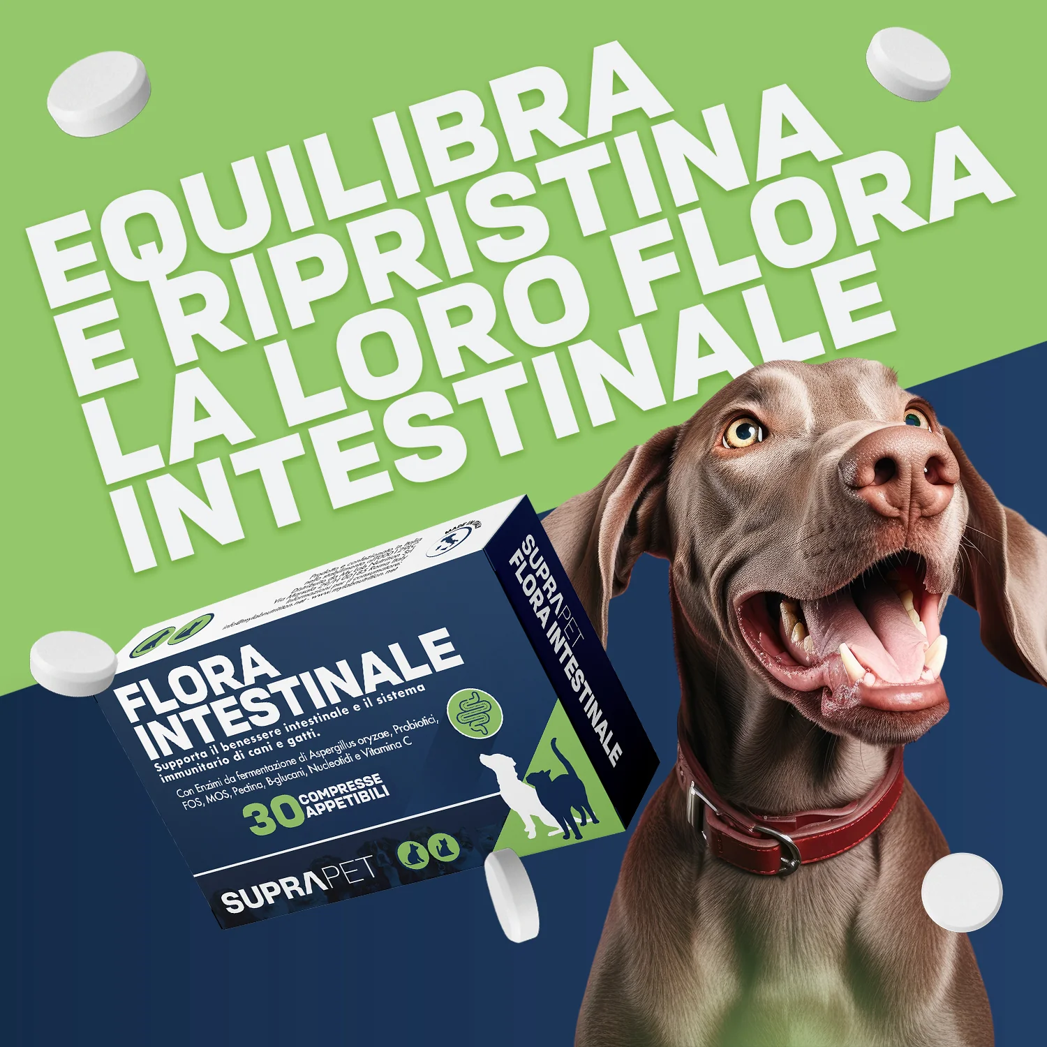 Suprapet Flora Intestinal30Cpr Con Vitamine e FOS