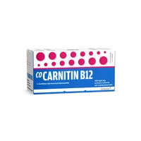 CoCarnitin B12 500 + 2 mg Polvere e Solvente Per Sospensione Orale 10 Flaconcini