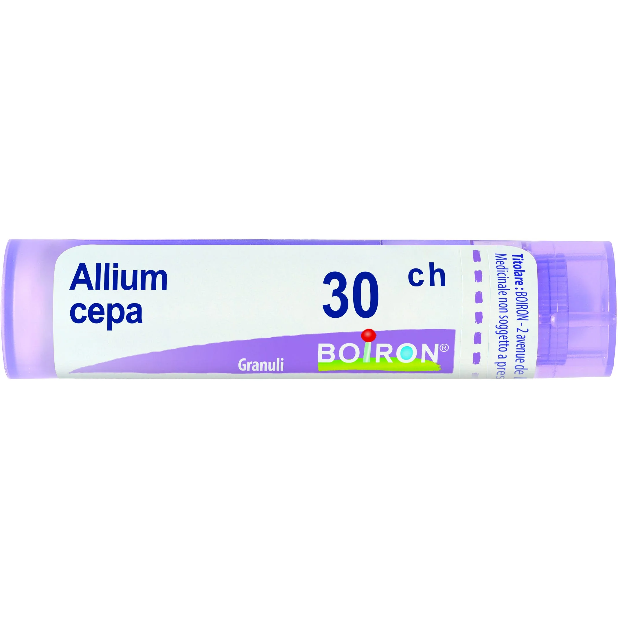 Allium Cepa 30 Ch 80 Gr 4 G 