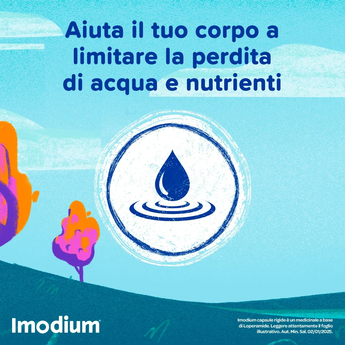 Imodium Diarrea Occasionale Acuta 12 Compresse Per Intestino