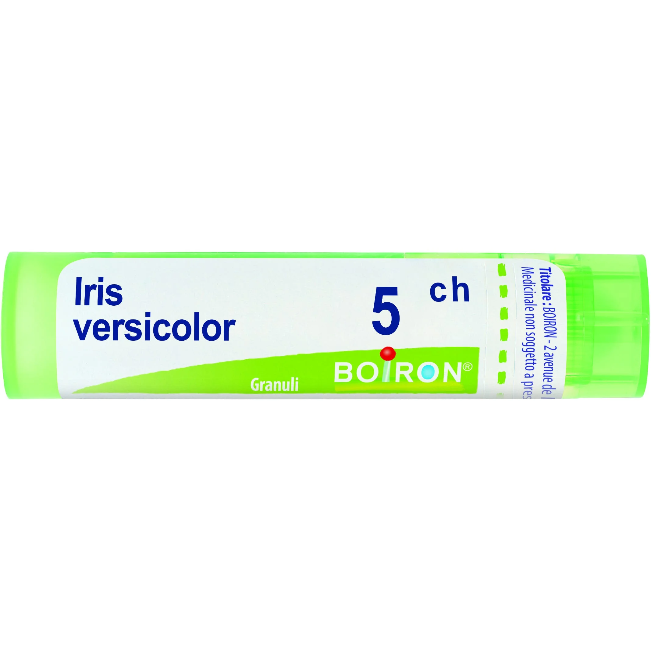 Iris Versicolor 5 Ch 80 Gr 4 G 