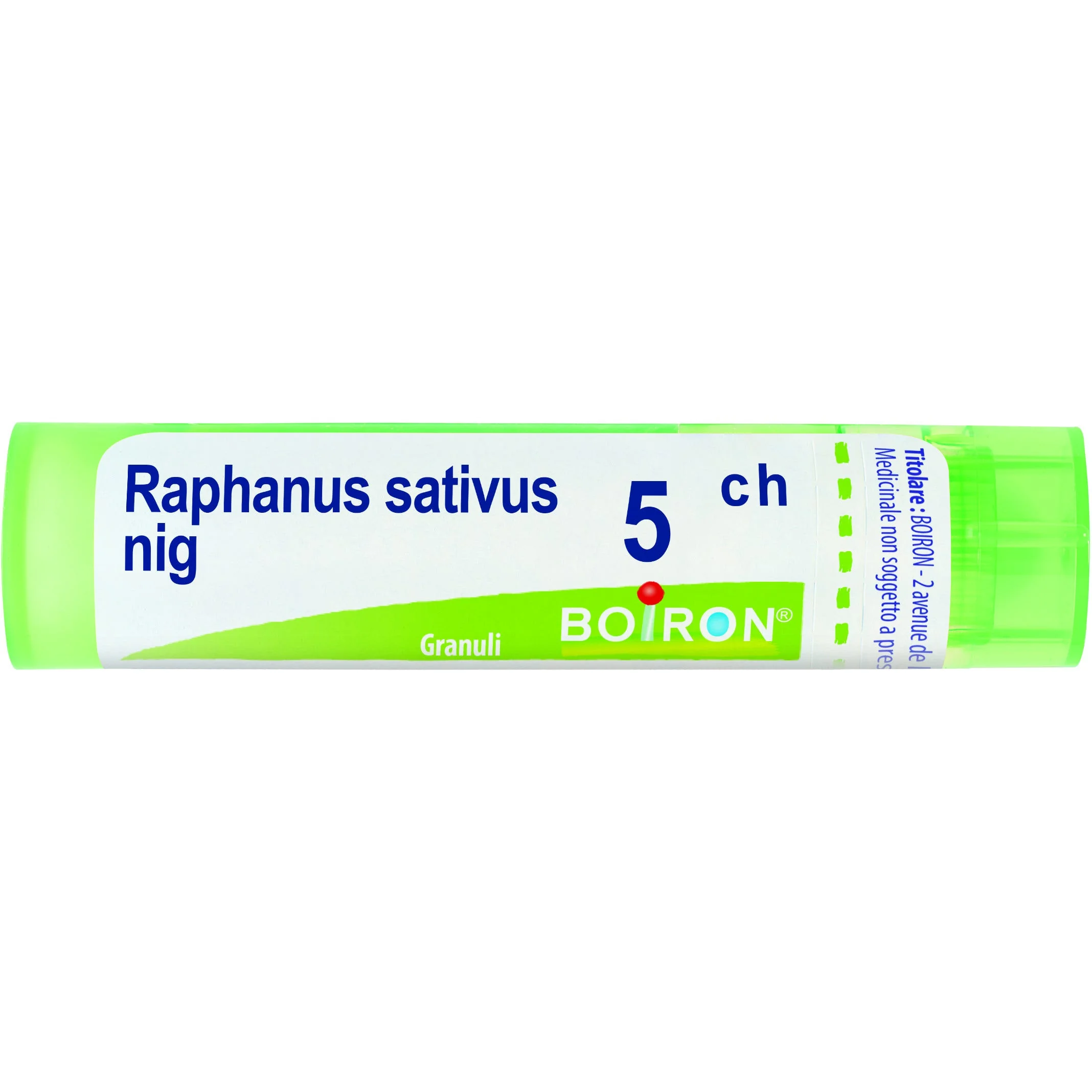 Raphanus Sativus Niger 5 Ch