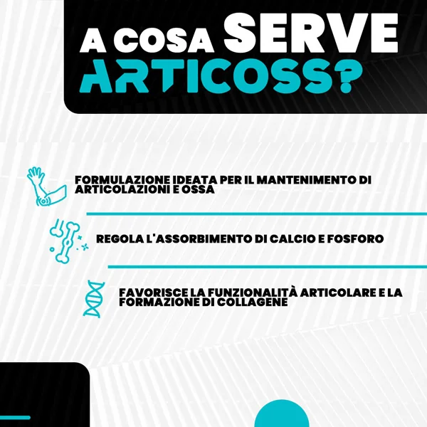 T-Rex Articoss Artic&Ossa60Cpr