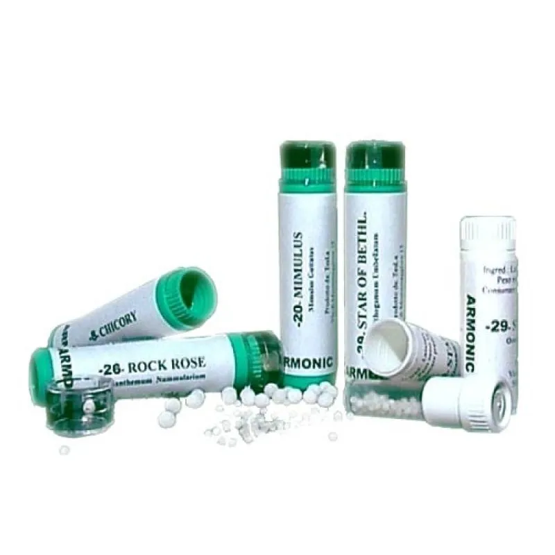 Armonic 18 Impatiens 70 gr